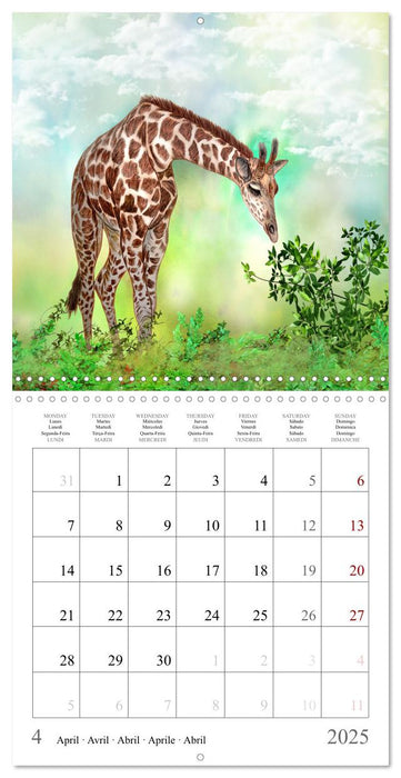 Enchanting Zoo (CALVENDO Monthly Calendar 2025)