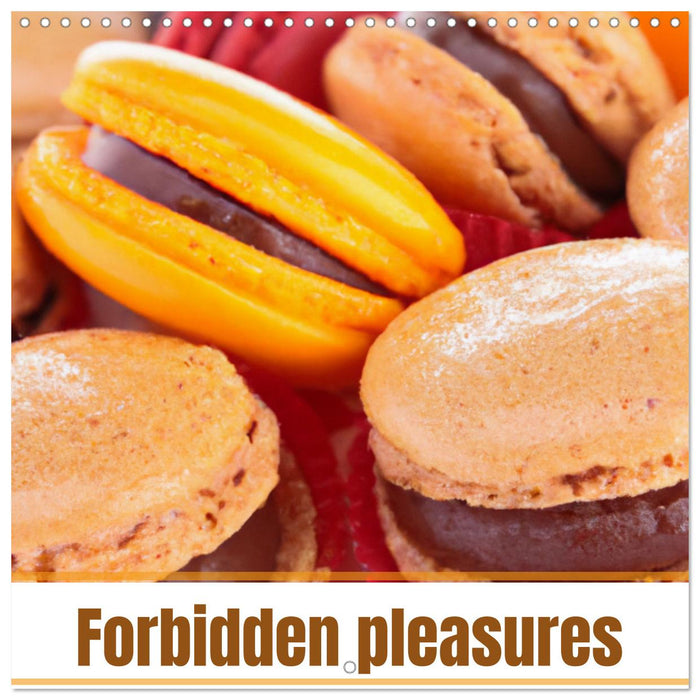 Forbidden pleasures (CALVENDO Monthly Calendar 2025)