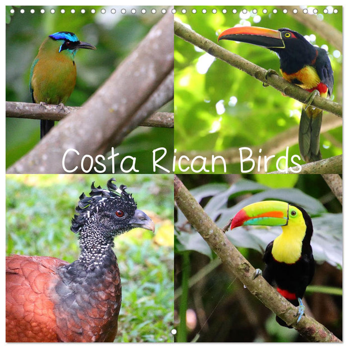 Costa Rican Birds (CALVENDO Monthly Calendar 2025)