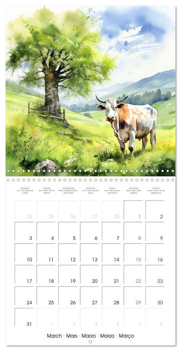 Vaches dans le pré (CALVENDO Calendrier mensuel 2025)