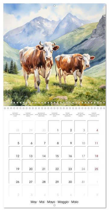 Vaches dans le pré (CALVENDO Calendrier mensuel 2025)