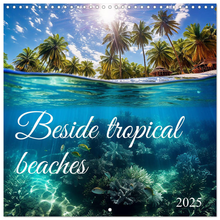 Beside tropical beaches (CALVENDO Monthly Calendar 2025)