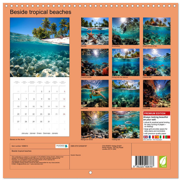 Beside tropical beaches (CALVENDO Monthly Calendar 2025)