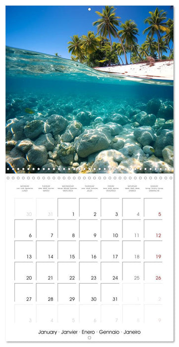 Beside tropical beaches (CALVENDO Monthly Calendar 2025)