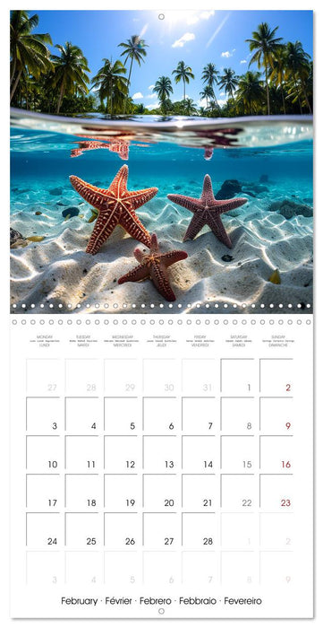 Beside tropical beaches (CALVENDO Monthly Calendar 2025)