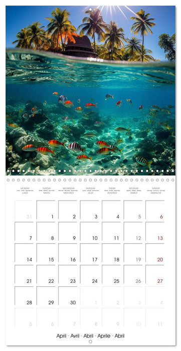 Beside tropical beaches (CALVENDO Monthly Calendar 2025)