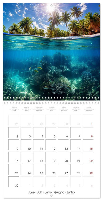 Beside tropical beaches (CALVENDO Monthly Calendar 2025)