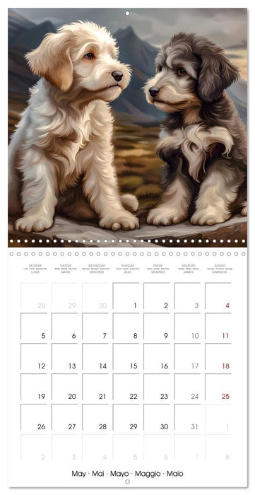 Aussiedoodle - Dogs to love (CALVENDO Monthly Calendar 2025)