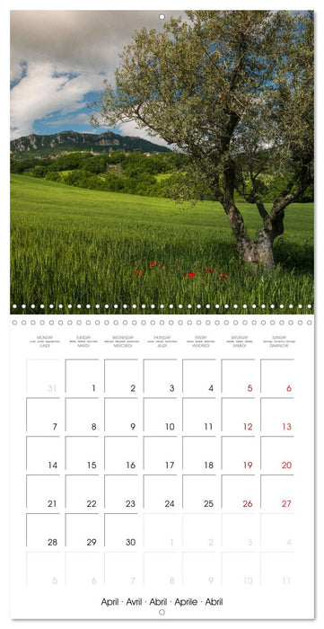 San Marino the oldest Republic in the world (CALVENDO Monthly Calendar 2025)