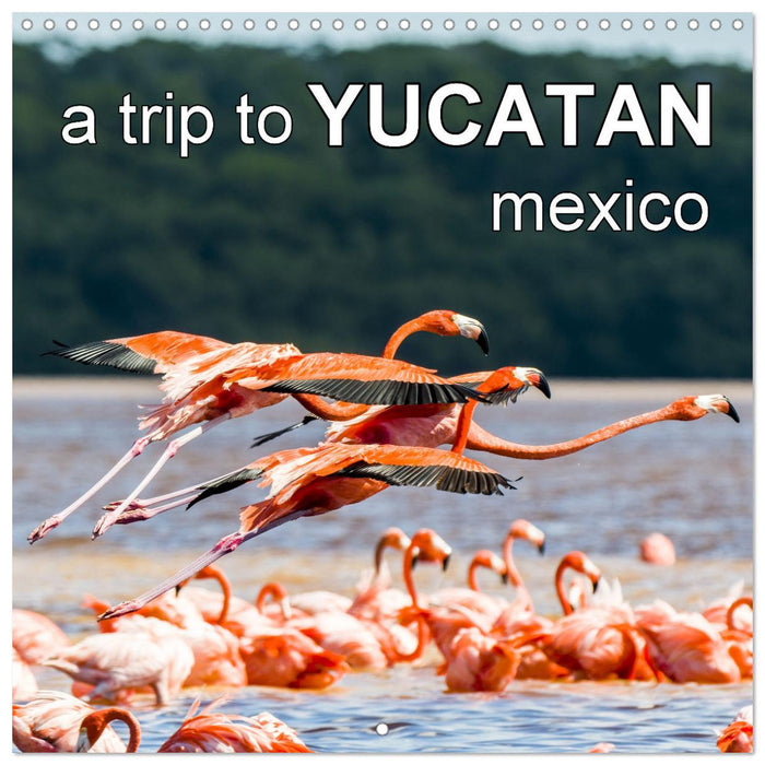 a trip to YUCATAN mexico (CALVENDO Monthly Calendar 2025)