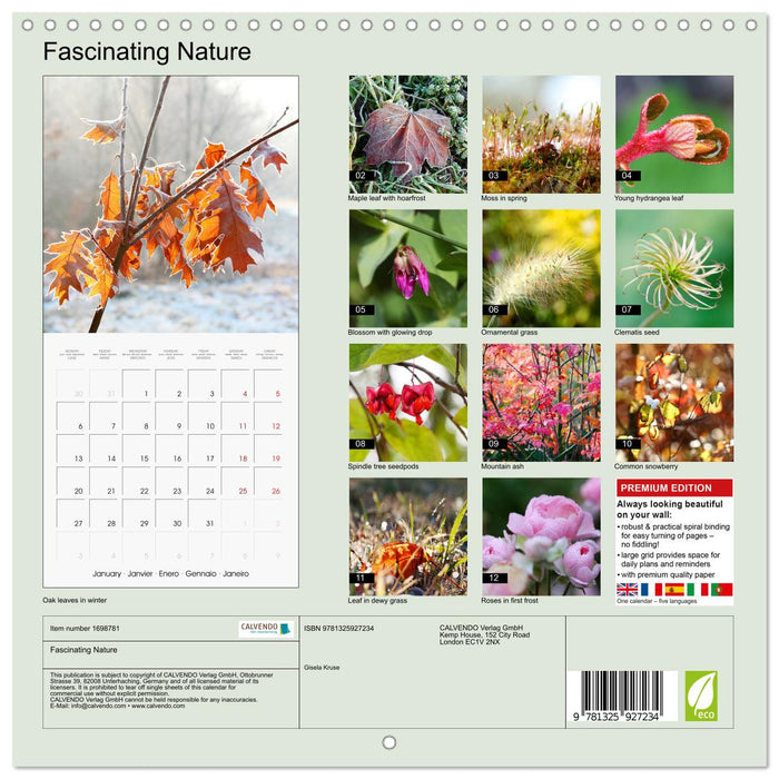 Fascinating Nature (CALVENDO Monthly Calendar 2025)