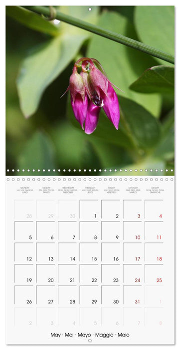 Fascinating Nature (CALVENDO Monthly Calendar 2025)