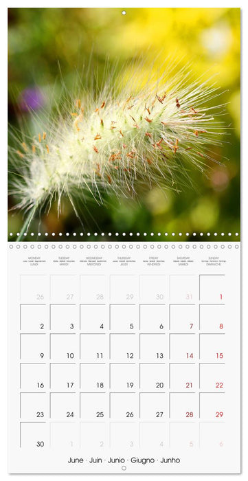 Fascinating Nature (CALVENDO Monthly Calendar 2025)