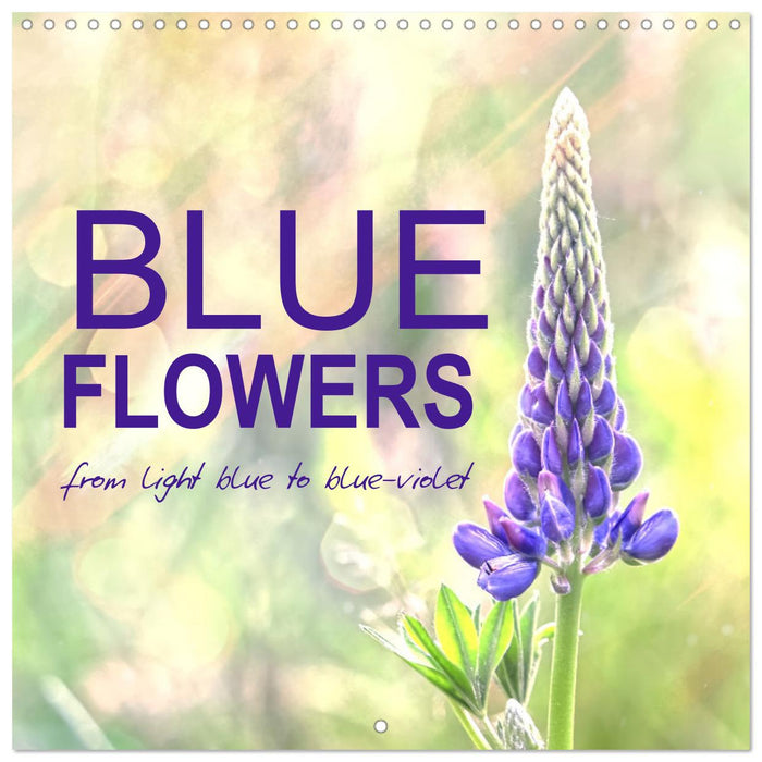 Blue flowers, from light blue to blue-violet (CALVENDO Monthly Calendar 2025)