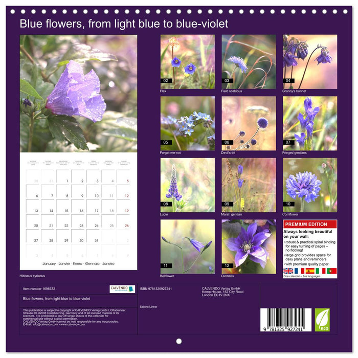 Blue flowers, from light blue to blue-violet (CALVENDO Monthly Calendar 2025)