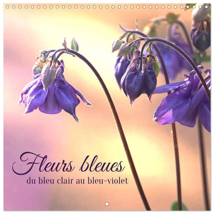 Fleurs bleues, du bleu clair au bleu-violet (CALVENDO Calendrier mensuel 2025)