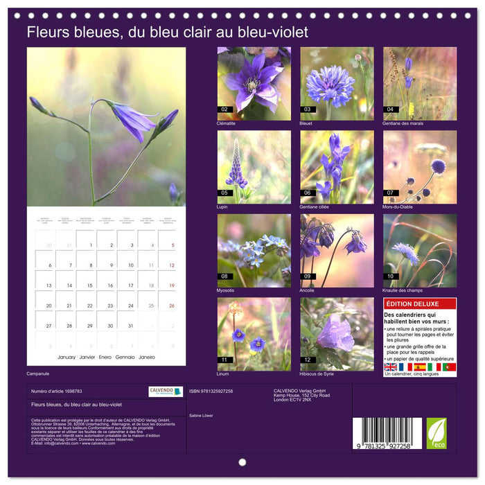 Fleurs bleues, du bleu clair au bleu-violet (CALVENDO Calendrier mensuel 2025)