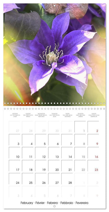 Fleurs bleues, du bleu clair au bleu-violet (CALVENDO Calendrier mensuel 2025)