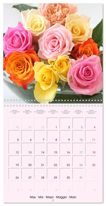 J'adore les roses (CALVENDO Calendrier mensuel 2025)