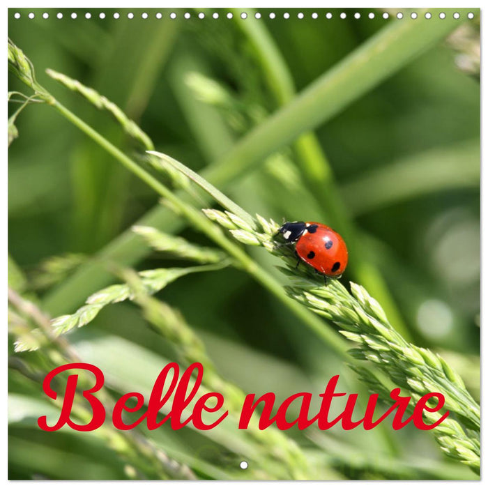 Belle nature (CALVENDO Calendrier mensuel 2025)