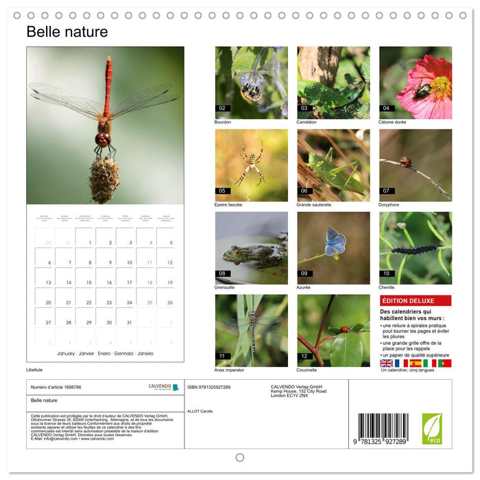 Belle nature (CALVENDO Calendrier mensuel 2025)