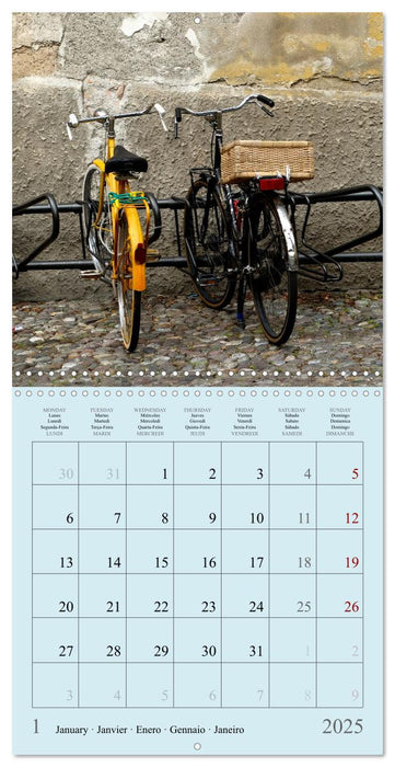 I Love Bicycles (CALVENDO Monthly Calendar 2025)