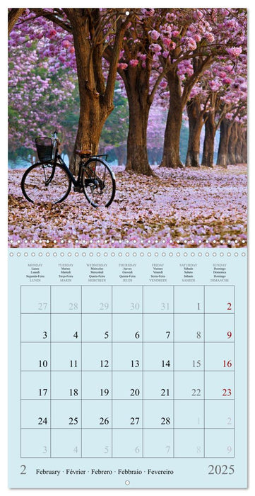 I Love Bicycles (CALVENDO Monthly Calendar 2025)