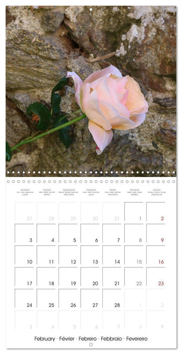 De Fleurs en Fleurs (CALVENDO Calendrier mensuel 2025)