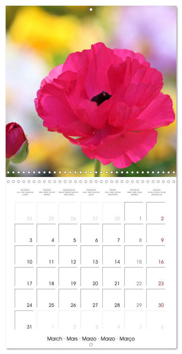 De Fleurs en Fleurs (CALVENDO Calendrier mensuel 2025)