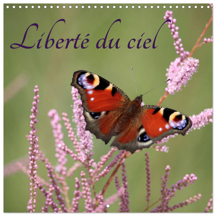 Liberté du ciel (CALVENDO Calendrier mensuel 2025)