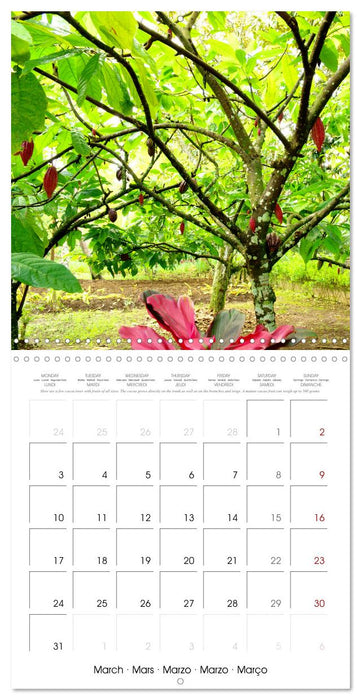 Travel around Java (CALVENDO Monthly Calendar 2025)