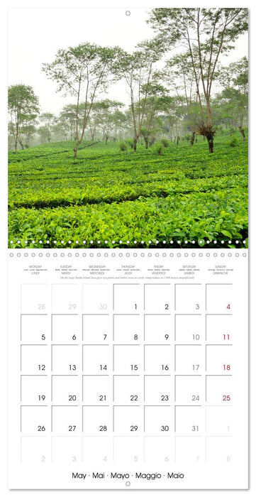 Travel around Java (CALVENDO Monthly Calendar 2025)