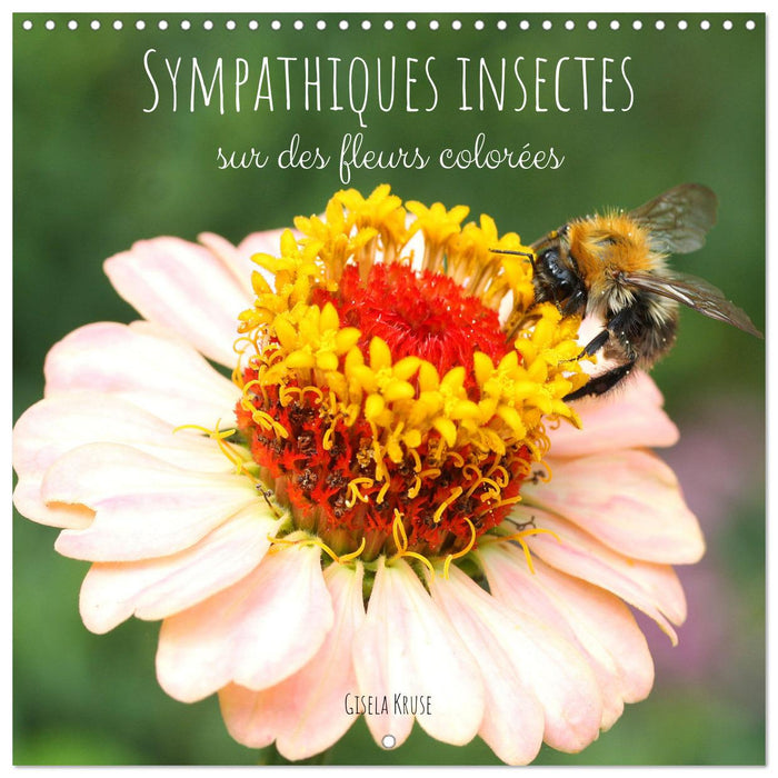 Sympathiques insectes sur des fleurs colorées (CALVENDO Calendrier mensuel 2025)