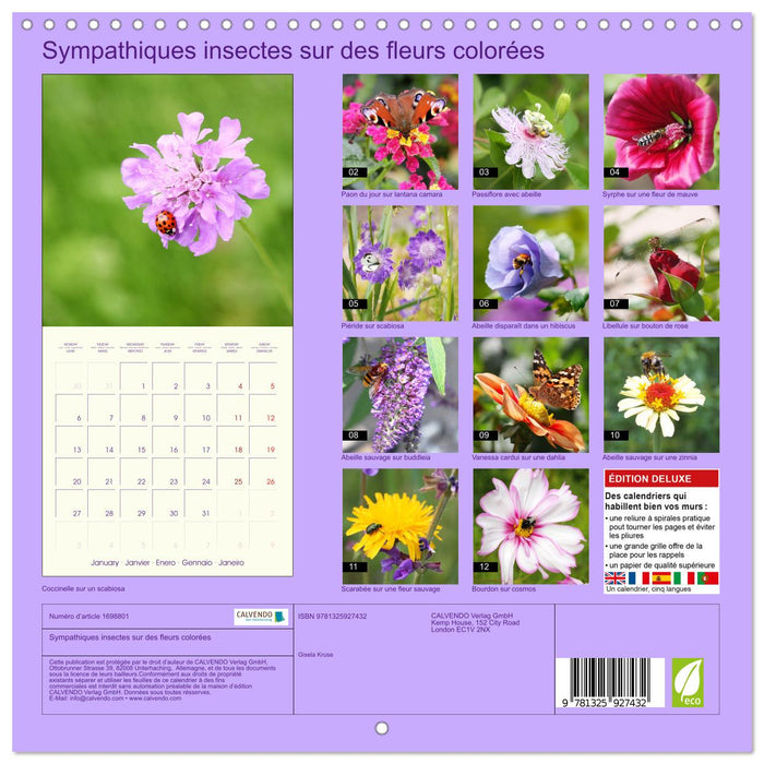 Sympathiques insectes sur des fleurs colorées (CALVENDO Calendrier mensuel 2025)