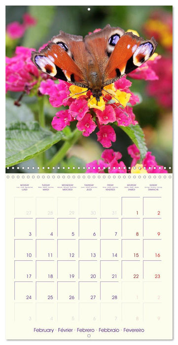 Sympathiques insectes sur des fleurs colorées (CALVENDO Calendrier mensuel 2025)