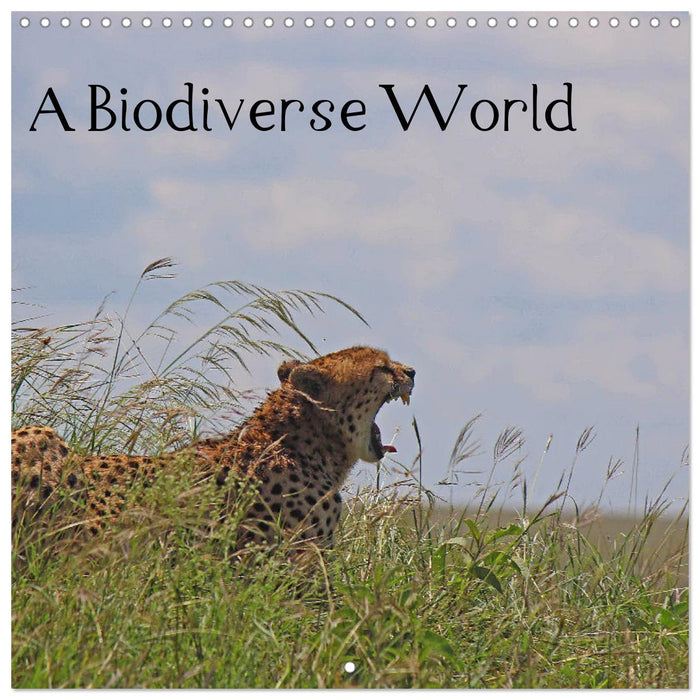 A Biodiverse World (CALVENDO Monthly Calendar 2025)