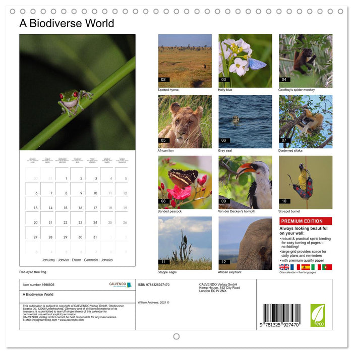 A Biodiverse World (CALVENDO Monthly Calendar 2025)