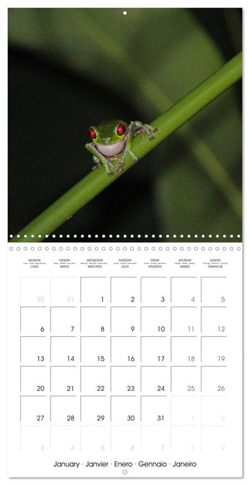 A Biodiverse World (CALVENDO Monthly Calendar 2025)