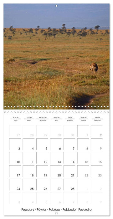 A Biodiverse World (CALVENDO Monthly Calendar 2025)