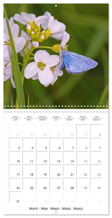 A Biodiverse World (CALVENDO Monthly Calendar 2025)