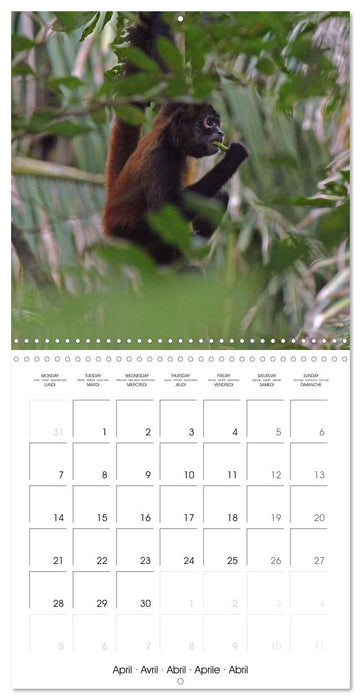 A Biodiverse World (CALVENDO Monthly Calendar 2025)