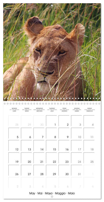 A Biodiverse World (CALVENDO Monthly Calendar 2025)