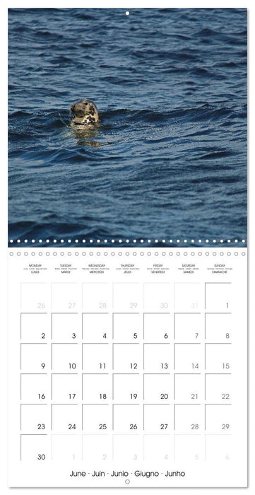 A Biodiverse World (CALVENDO Monthly Calendar 2025)