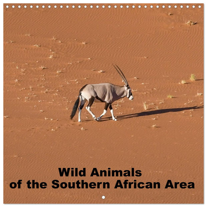 Wild Animals of the Southern Africa Area (CALVENDO Monthly Calendar 2025)