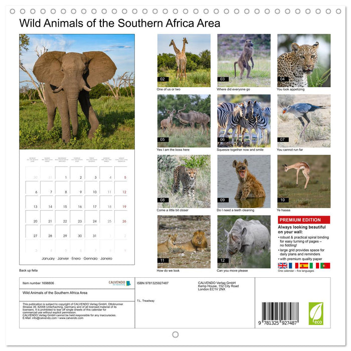 Wild Animals of the Southern Africa Area (CALVENDO Monthly Calendar 2025)