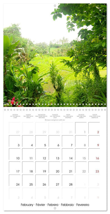 Travel around Bali (CALVENDO Monthly Calendar 2025)