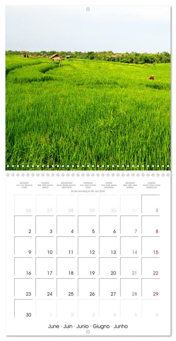 Travel around Bali (CALVENDO Monthly Calendar 2025)