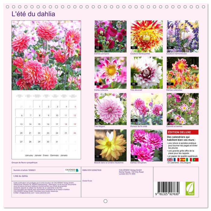 L'été du dahlia (CALVENDO Calendrier mensuel 2025)