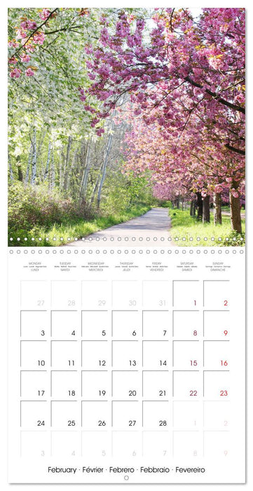 Time of Cherry Blossom (CALVENDO Monthly Calendar 2025)