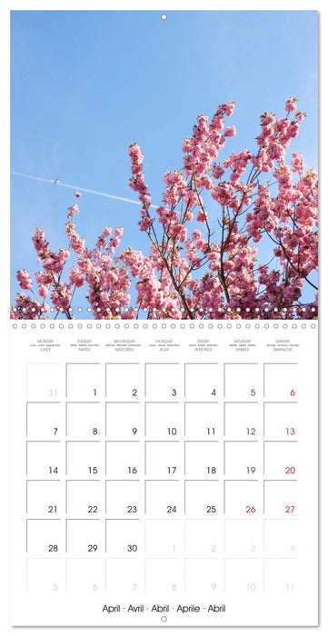 Time of Cherry Blossom (CALVENDO Monthly Calendar 2025)